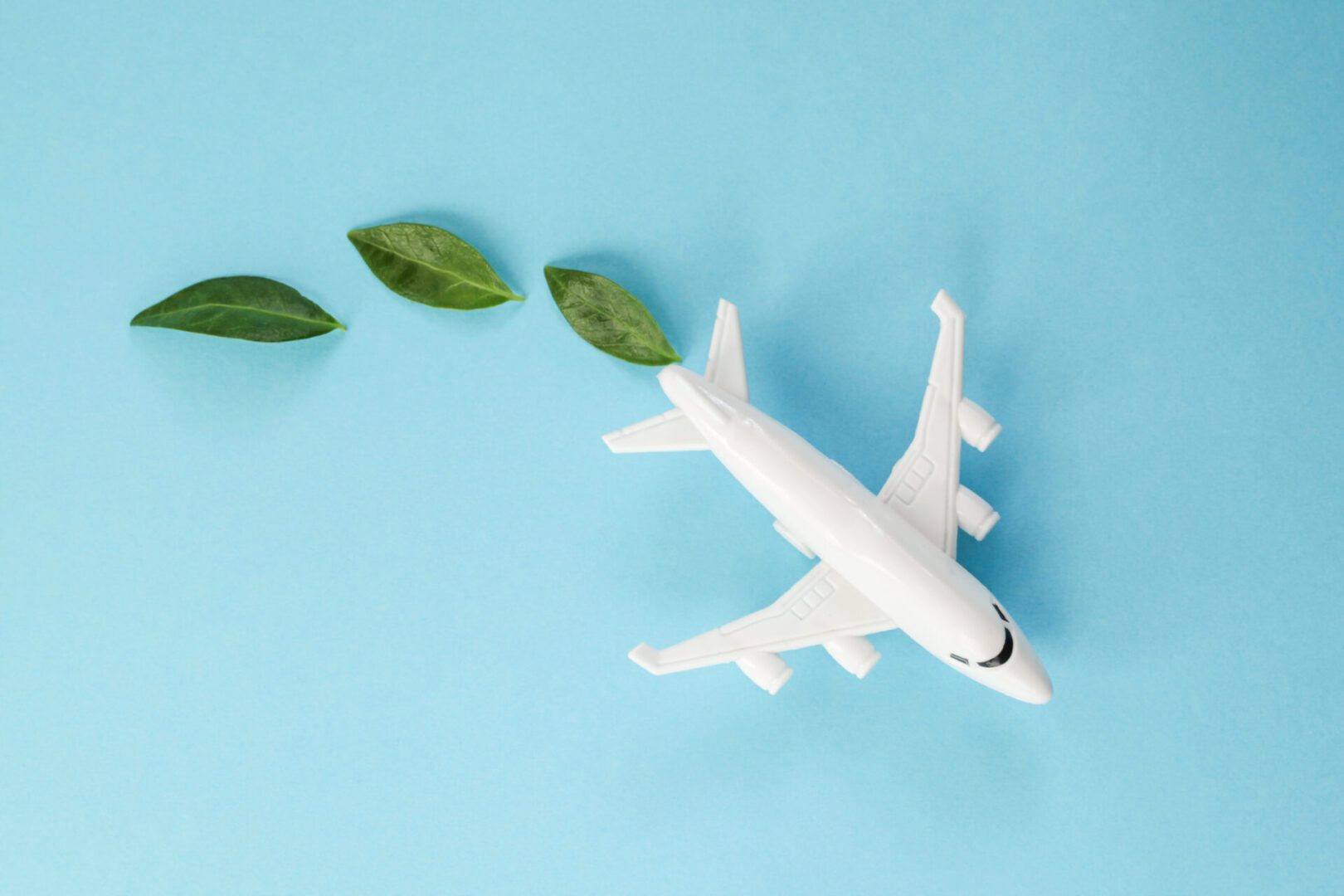 Sustainable Aviation Fuel. White airplane model, fresh green leaves on blue background. Clean and Green energy, Biofuel for aviation industry.
